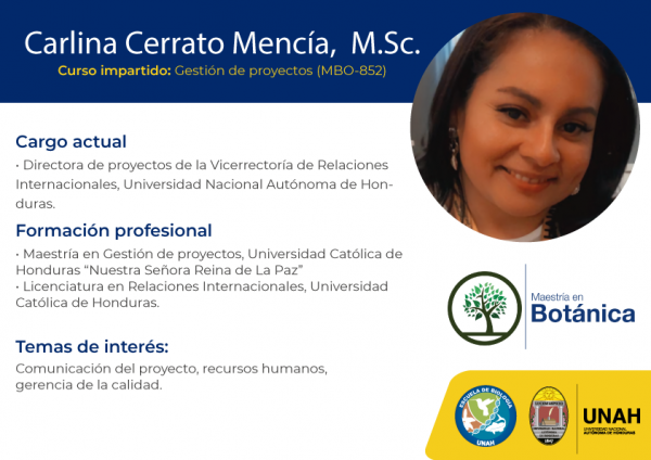 11 Carlina Cerrato