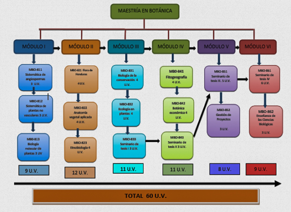 Diagrama de flujo2