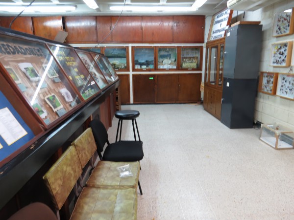 ResizedImage600450 Museo de Entomologia UNAH 4