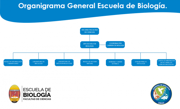 Organigrama General Carrera de Biologia