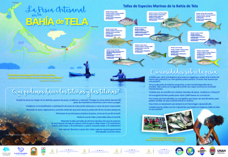 Poster Tela Bahia impresion Pesca