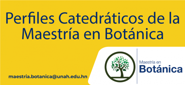0 Titulo